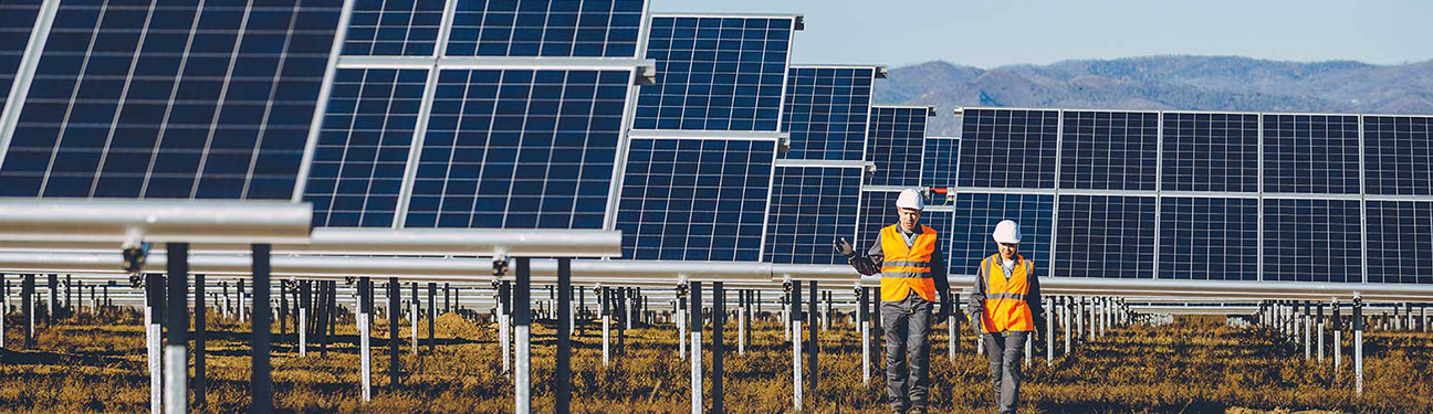 Two people standing in front of rows of solar panels